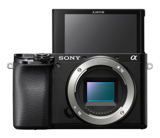 Sony A6100 + 16-50 mm f/3.5 - 5.6 - 1320264 - zdjęcie 3